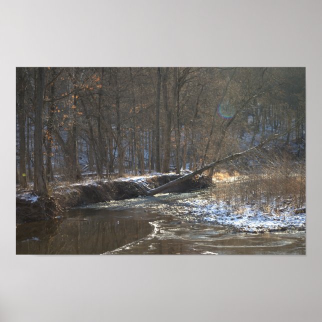 Poster du paysage aquatique du ruisseau Winter (Devant)