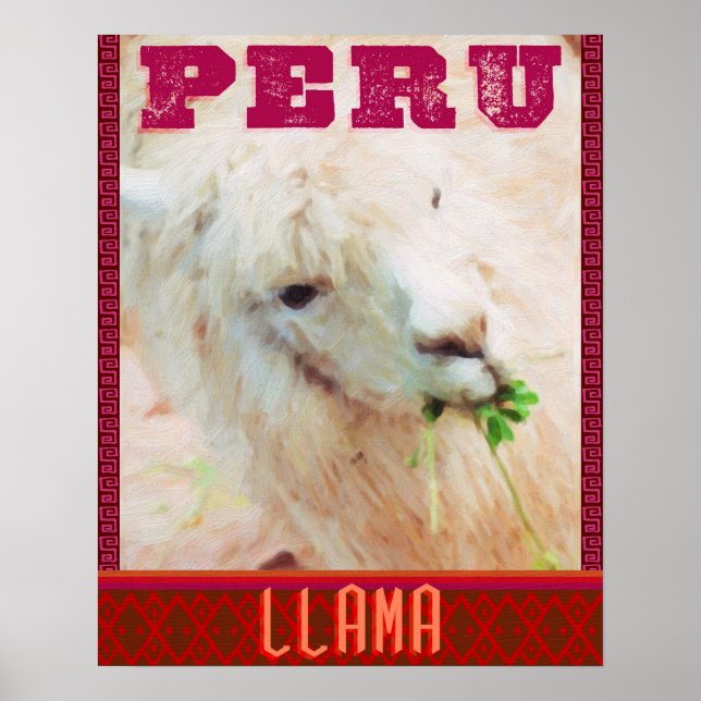 Poster du Pérou - Les Llamas du Pérou (Devant)