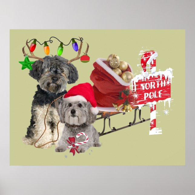 Poster du Petit Basset Griffon Vendeen Pôle Nord (Devant)