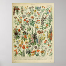 Poster du Plante de fleurs de la forêt vintage