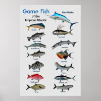 Poster du poisson de l'océan Atlantique tropical