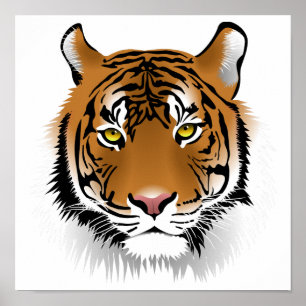 Poster du profil Tiger