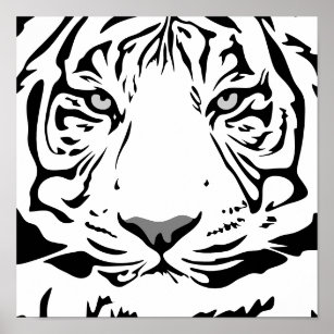 Poster du profil Tiger