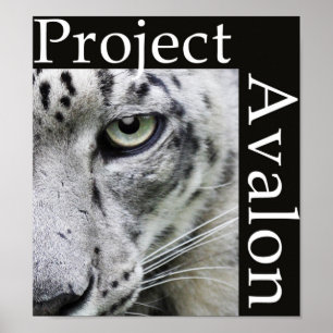 Poster du projet Avalon (sombre)