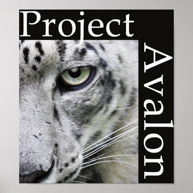 Poster du projet Avalon (sombre) (Devant)