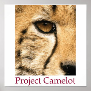 Poster du projet Camelot
