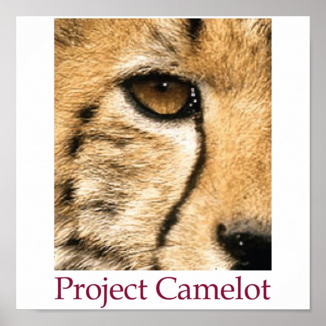 Poster du projet Camelot (Devant)