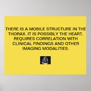 Poster du rapport Echo Cardiac