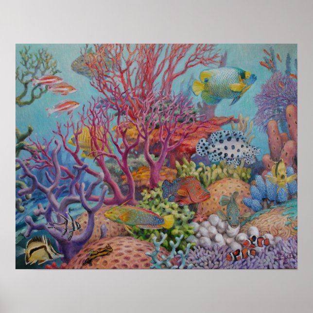 Poster du récif de mer du Sud (Devant)