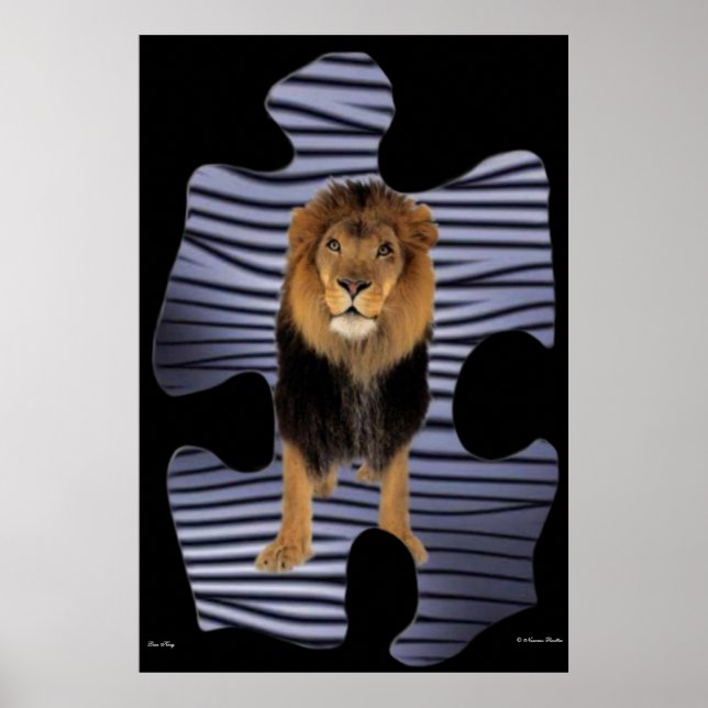 Poster du roi Lion (Devant)
