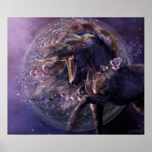 Poster du Rose noir Chimera