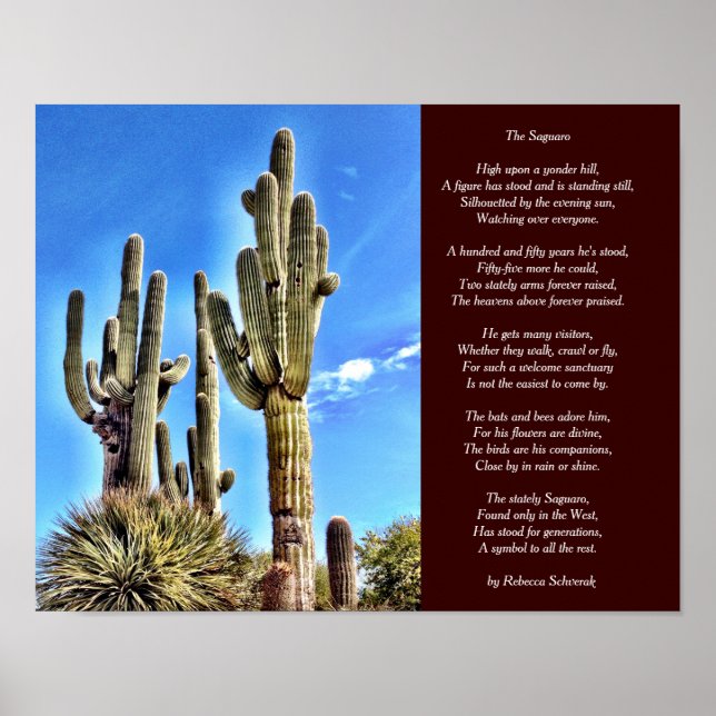 Poster du Saguaro (Devant)