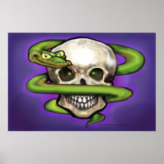 Poster du serpent n crâne