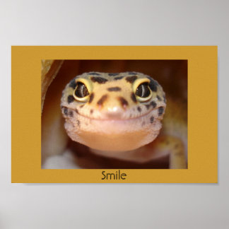 Poster du sourire
