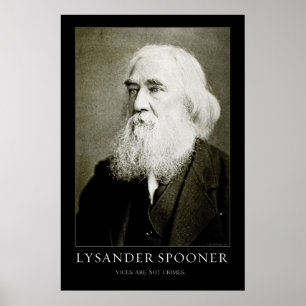 Poster du Spooner Lysander