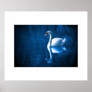 Poster du Swan