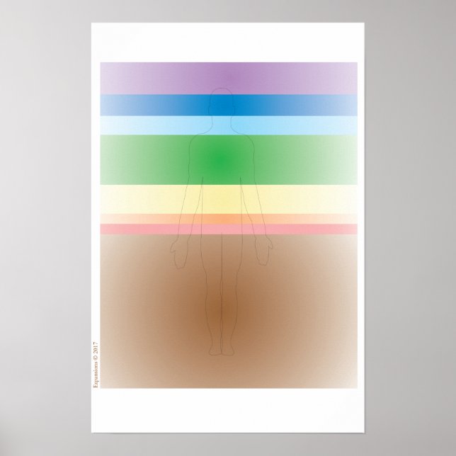 Poster du système Chakra (Devant)