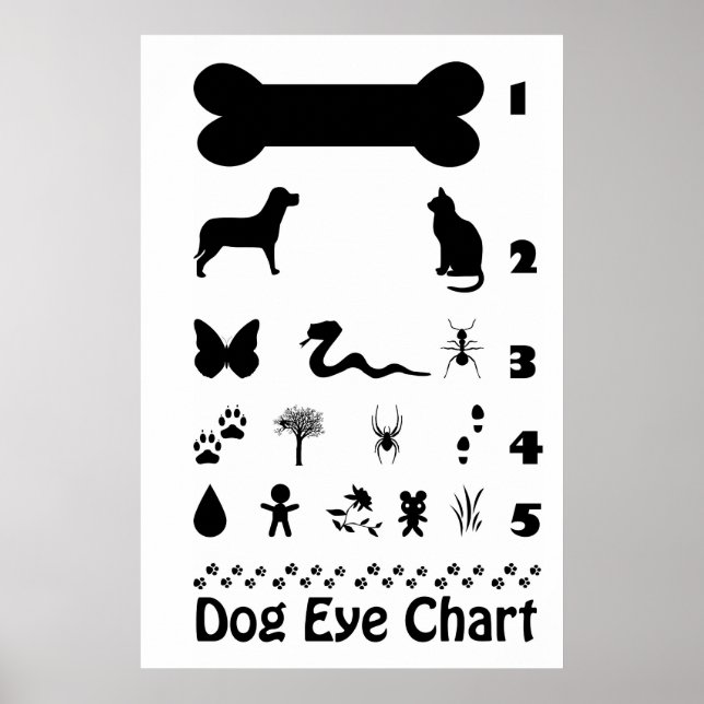 Poster du tableau des yeux de chien (Devant)