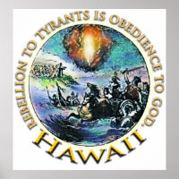 Poster du Tea Party Hawaii