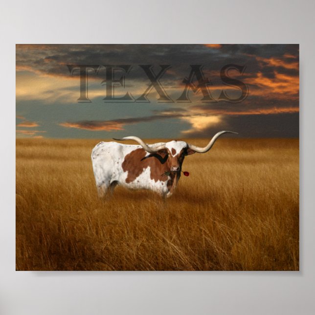 Poster du Texas Longhorn (Devant)