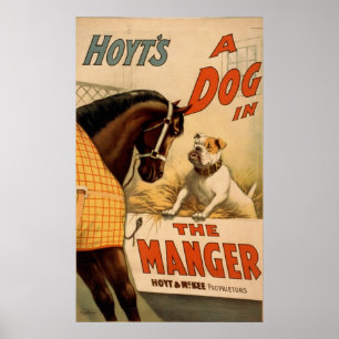Poster du Théâtre Vintage de A Dog in the Manger