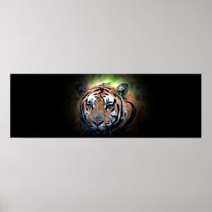Poster du tigre