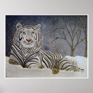 Poster du tigre de neige