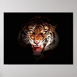 Poster du tigre grondant