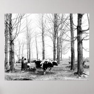 Poster du Vermont du camp de sucre de l'érable 190