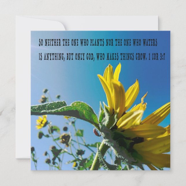 Poster du verset de la Bible, les fleurs poussent  (Devant)