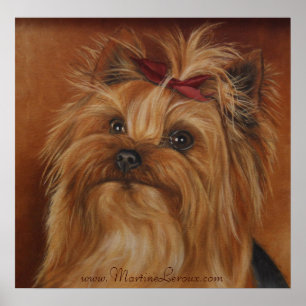 Poster du Yorkshire Terrier