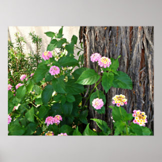 Poster Duet du printemps