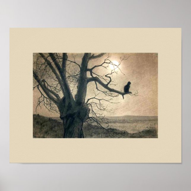 Poster d'un chat de nuit dans un arbre (Devant)