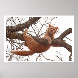 Poster d'un chat sur le point de tomber d'un arbre