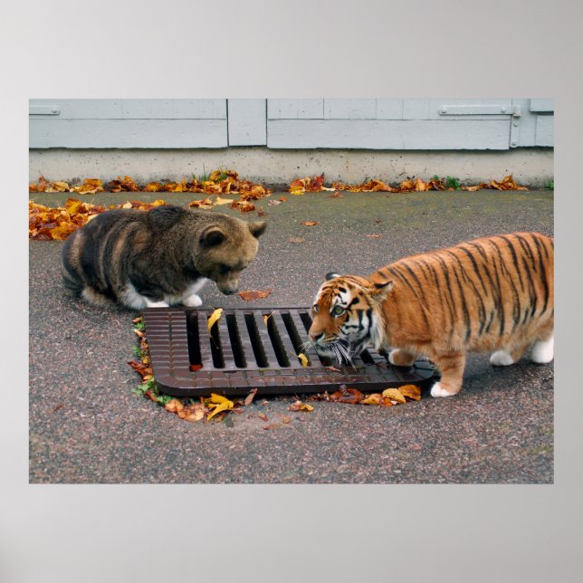 Poster d'un trou d'eau urbain (Devant)