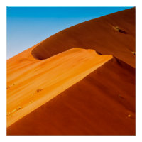 Dune 45