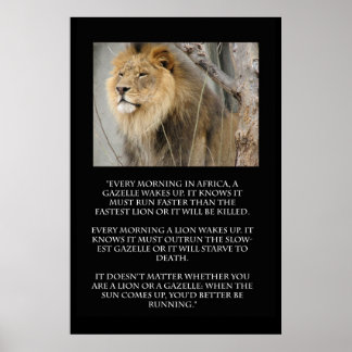 Poster d'une citation de Lion Gazelle