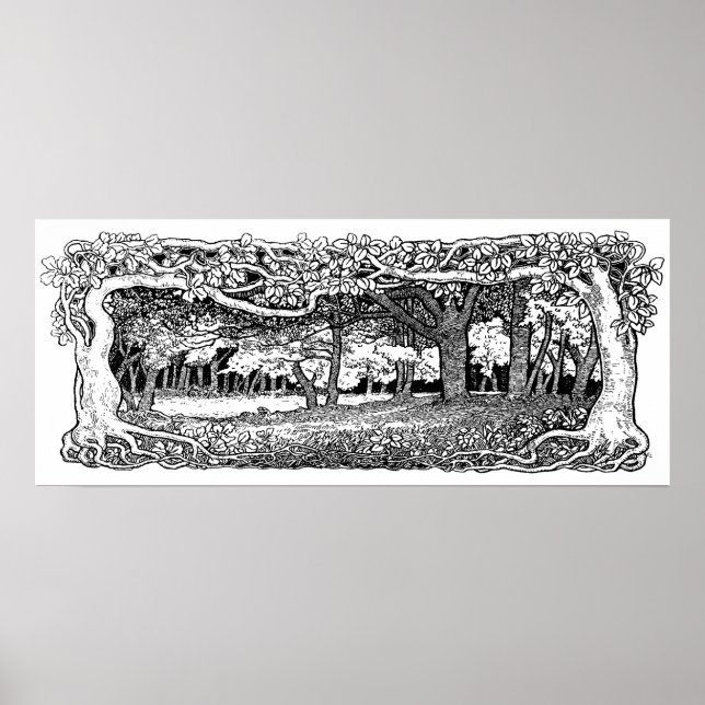 Poster d'une forêt danoise sauvage (Devant)