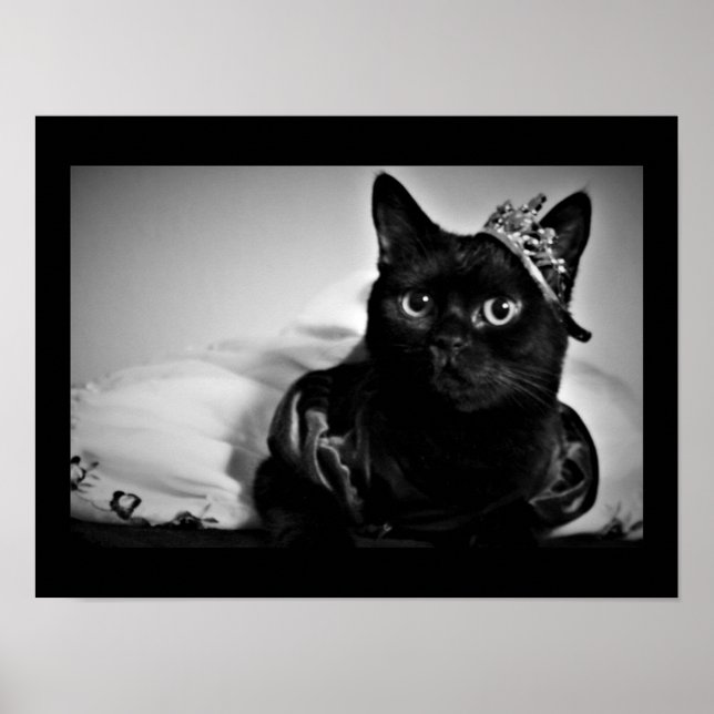 Poster d'une petite princesse (Devant)