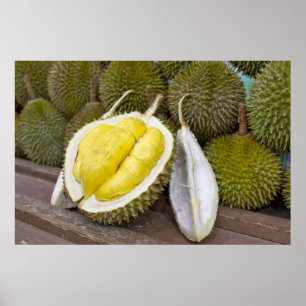 Poster Durian King of Fruits in Singapore City