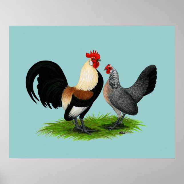 Poster Dutch Bantams:  Cream Light Brown (Devant)