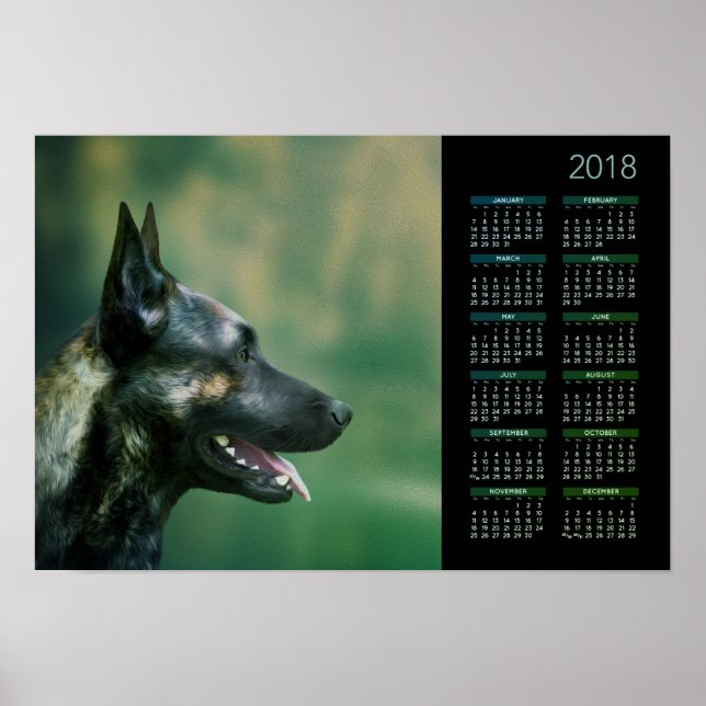 Poster Dutch Shepherd - Calendrier néerlandais 2018 (Devant)