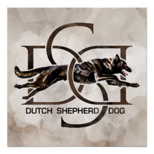 Poster Dutch Shepherd - Illustration utchie