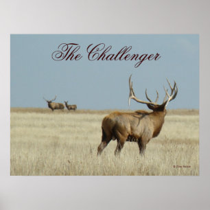 Poster E20 Wapiti Challenger