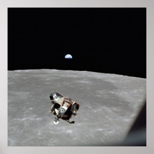 Poster Eagle Ascent Stage 24"x24"