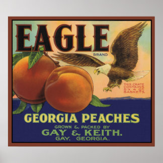 Poster Eagle Georgia Peaches