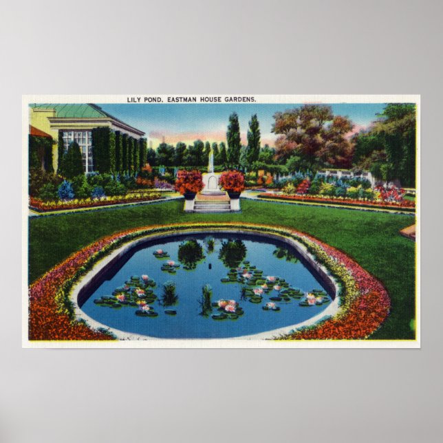 Poster Eastman House Gardens Lily Pond (Devant)