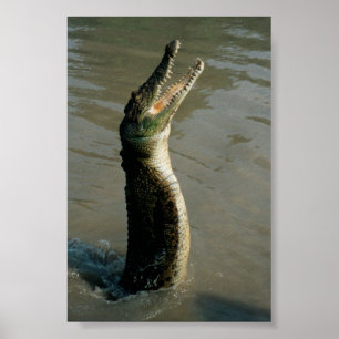 Poster Eau de mer Croc