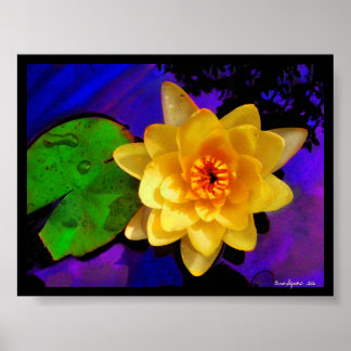 POSTER EAU JAUNE LILY, IMPRIMER