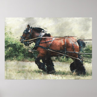 Poster Ébauche de l'équipe de cheval en harnais